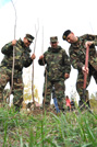 National Army Service Members Plant Three Thousand of Trees and Bushes