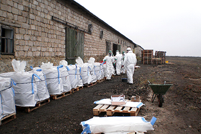 Obsolete Pesticides Repacked for Disposal