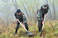 National Army Servicemembers Participate at the National Afforestation Day Events