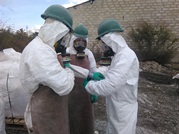 More Pesticides Evacuated from the South of Moldova