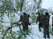 Over 3,900 National Army Service Members Participate in the Liquidation of April Snowfall Consequences