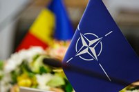 Parteneriatul  Republica Moldova - NATO, discutat la Bruxelles