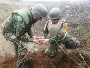 Ammunition Arsenal Destroyed by Military Engineers in Causeni