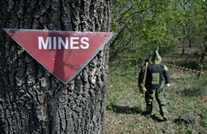 Demining in May: about 800 explosive devices liquidated by National Army engineers 