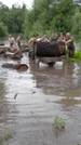 The National Army intervenes in the areas affected by the floods