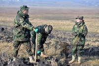 The Military of the National Army Participate at the national campaign for expanding green areas (video)
