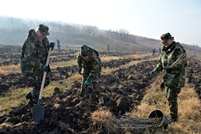 The Military of the National Army Participate at the national campaign for expanding green areas (video)